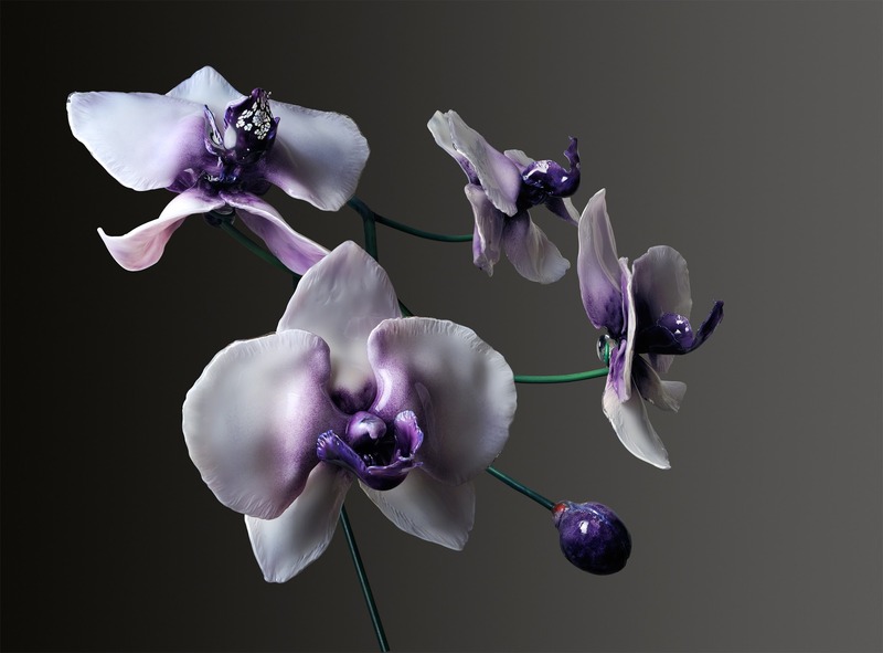 default_Photo+Courtesy+of+Jason+Gamrath.+Larch+Orchids