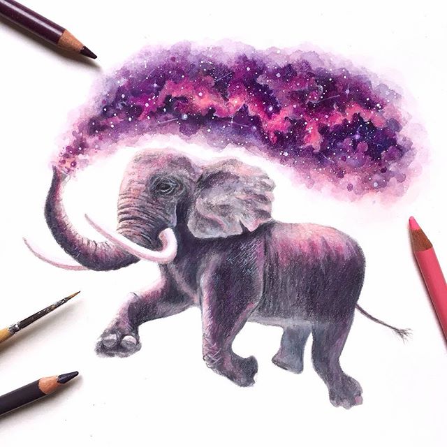 Wunderschöne Zeichnungen von David Ambarzumjan: ein Elefant