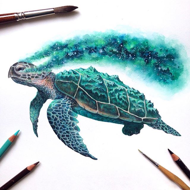 Wunderschöne Zeichnungen von David Ambarzumjan: eine Schildkröte