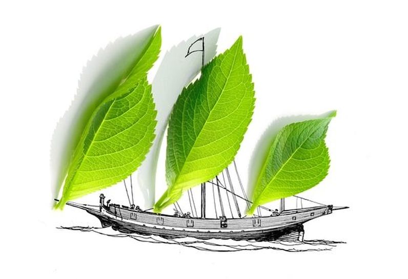Ein Segelschiff mit grünen Blättern