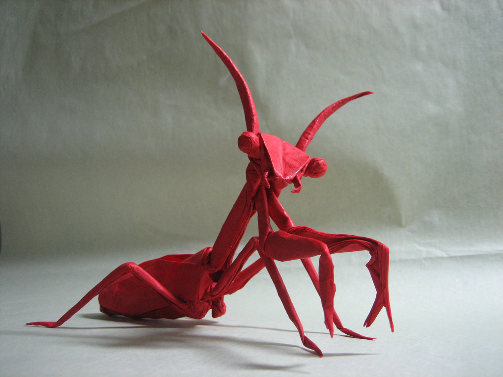 Wunderbare Origami-Kunstwerke von Sipho Mabona