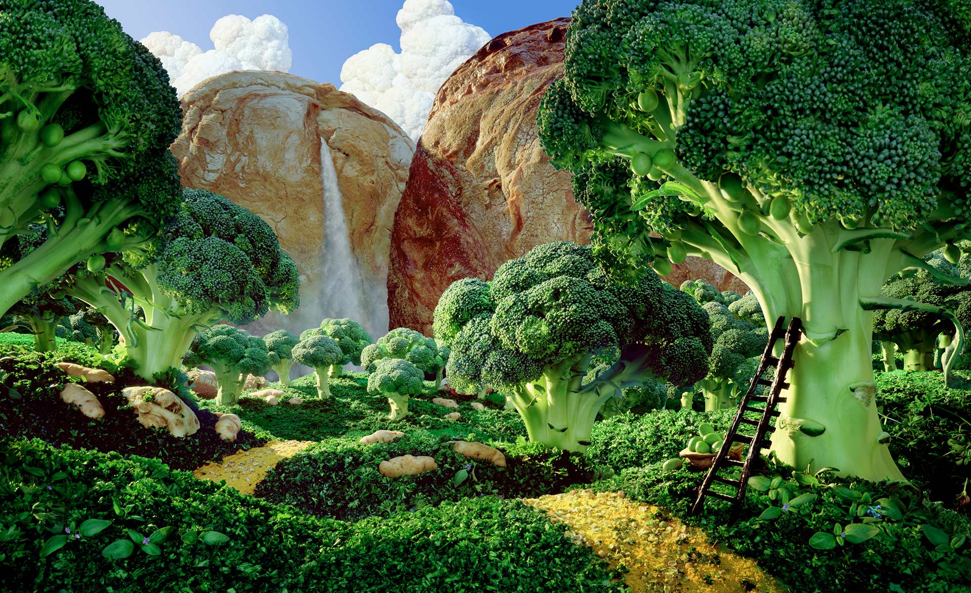 "Broccoli Forest"