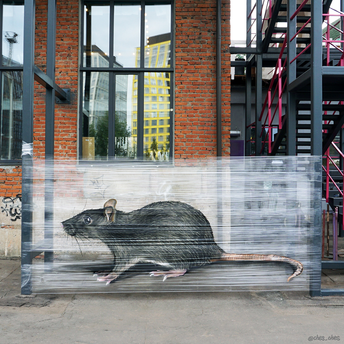 Ratte-Cellograffiti